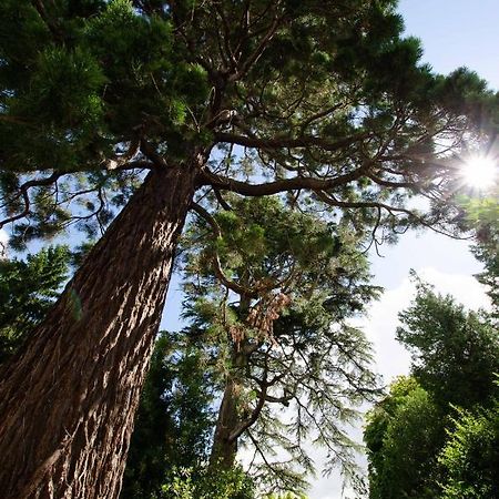 Gite Sequoia Centre Historique Bayeux Zewnętrze zdjęcie