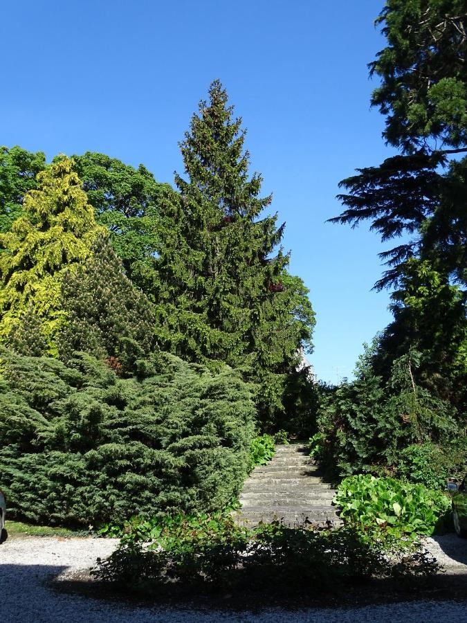 Gite Sequoia Centre Historique Bayeux Zewnętrze zdjęcie